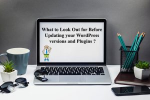 Wordpress version plugins